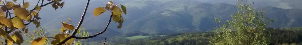 IMG_20180506_183730681